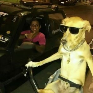 Meet your Posher, Joao